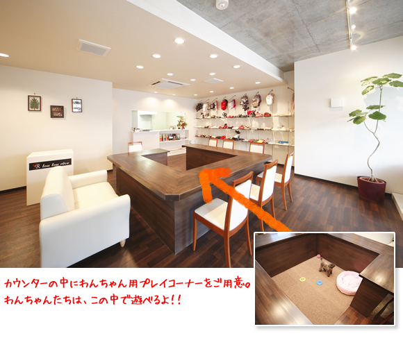 店内紹介 カウンターの中にわんちゃん用プレイコーナーをご用意。わんちゃんたちは、この中で遊べるよ!!